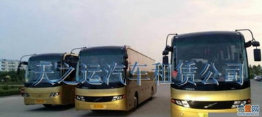 哈爾濱天之運租車公司 道里新陽路易登網汽車租賃服務介紹